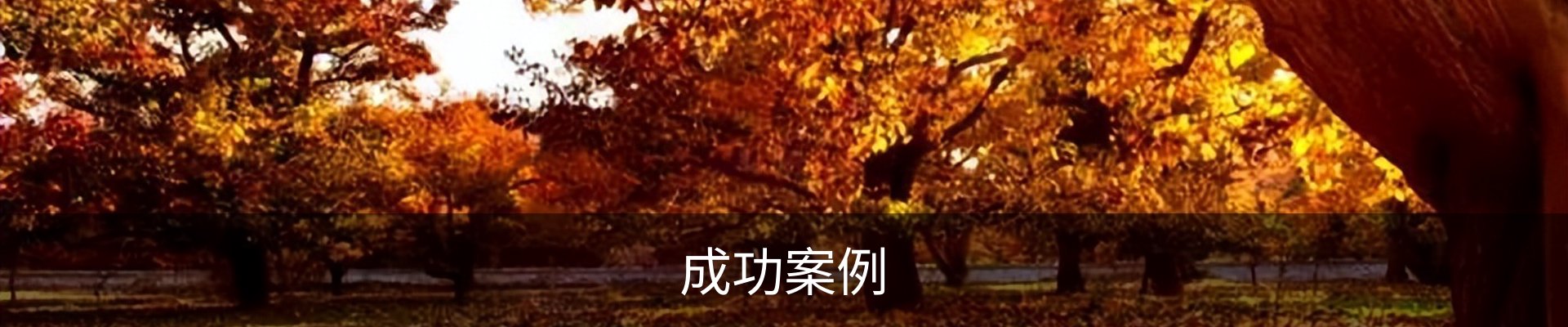 内页banner